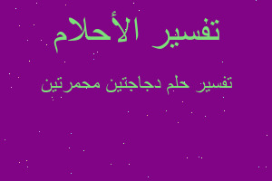 تفسير دجاجتين محمرتين في المنام