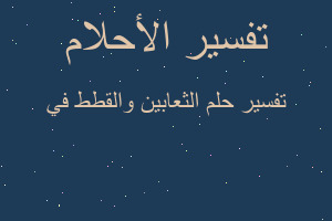 تفسير الثعابين والقطط في في المنام تفسير الثعابين والقطط في في المنام