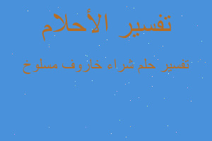 تفسير شراء خاروف مسلوخ في المنام تفسير شراء خاروف مسلوخ في المنام