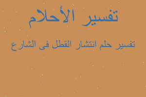 تفسير انتشار القطل فى الشارع في المنام