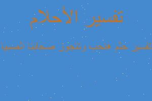 تفسير هنحب ونتجوز صحابنا الصبيا في المنام