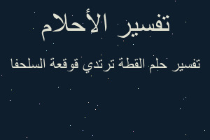 تفسير القطة ترتدي قوقعة السلحفا في المنام