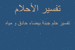 تفسير جبنة بيضاء حادق و مياه في المنام تفسير جبنة بيضاء حادق و مياه في المنام