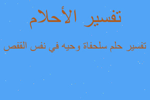 تفسير سلحفاة وحيه في نفس القفص في المنام تفسير سلحفاة وحيه في نفس القفص في المنام