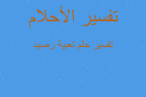 تفسير تعبية رصيد في المنام تفسير تعبية رصيد في المنام
