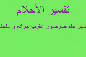 تفسير صرصور عقرب جرادة و سلحفاة في المنام