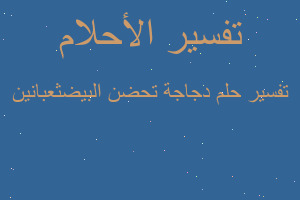 تفسير دجاجة تحضن البيضثعبانين في المنام
