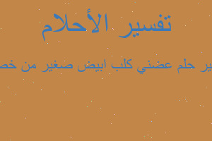 تفسير عضني كلب ابيض صغير من خصي في المنام