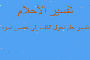 تفسير تحول الكلب إلى حصان اسود في المنام تفسير تحول الكلب إلى حصان اسود في المنام