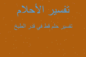 تفسير قط في قدر الطبخ في المنام تفسير قط في قدر الطبخ في المنام