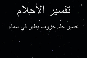 تفسير خروف يطير في سماء في المنام تفسير خروف يطير في سماء في المنام