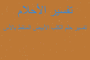 تفسير الكلب الأبيض المنقط بالأس في المنام