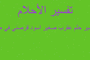 تفسير عقرب صغير اسود قرصني في ص في المنام تفسير عقرب صغير اسود قرصني في ص في المنام