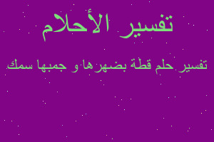 تفسير قطة بضهرها و جمبها سمك في المنام