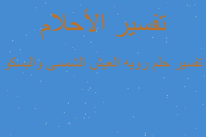 تفسير رويه العيش الشمسى والبسكو في المنام