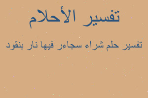 تفسير شراء سجاءر فيها نار بنقود في المنام