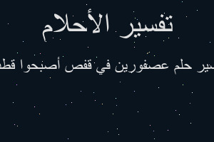 تفسير عصفورين في قفص أصبحوا قطت في المنام