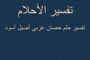 تفسير حصان عربي أصيل أسود في المنام تفسير حصان عربي أصيل أسود في المنام