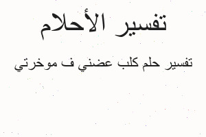 تفسير كلب عضني ف موخرتي في المنام تفسير كلب عضني ف موخرتي في المنام