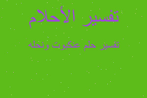 تفسير عنكبوت ونحله في المنام تفسير عنكبوت ونحله في المنام