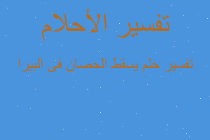 تفسير يسقط الحصان فى البيرا في المنام تفسير يسقط الحصان فى البيرا في المنام