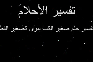 تفسير صغير الكب ينوي كصغير القط في المنام