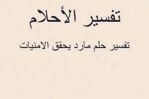 تفسير مارد يحقق الامنيات في المنام