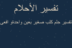 تفسير كلب صغير بعين واحدةو افعى في المنام تفسير كلب صغير بعين واحدةو افعى في المنام