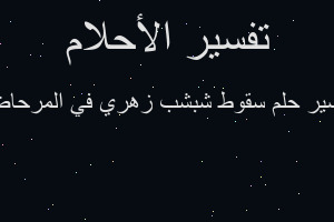 تفسير سقوط شبشب زهري في المرحاض في المنام