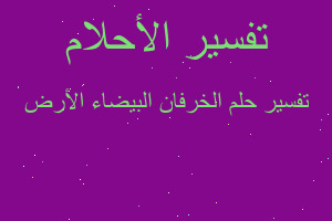 تفسير الخرفان البيضاء الأرض في المنام