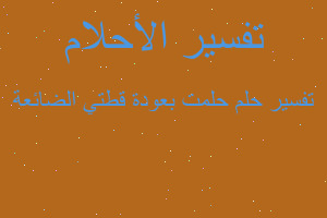 تفسير حلمت بعودة قطتي الضائعة في المنام