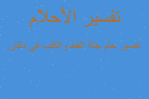 تفسير جثة القط والكلب في دكان في المنام