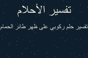 تفسير ركوبي على ظهر طائر الحمام في المنام