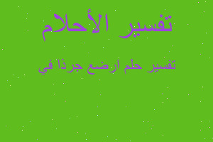 تفسير ارضع جرذا في في المنام