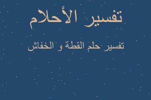 تفسير القطة و الخفاش في المنام