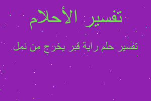 تفسير راية قبر يخرج من نمل في المنام