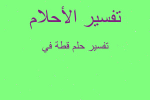 تفسير قطة في في المنام