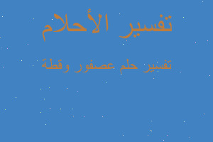 تفسير عصفور وقطة في المنام