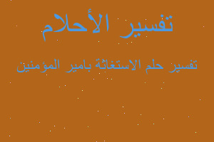 تفسير الاستغاثة بامير المؤمنين في المنام تفسير الاستغاثة بامير المؤمنين في المنام