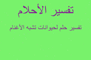 تفسير لحيوانات تشبه الأغنام في المنام تفسير لحيوانات تشبه الأغنام في المنام