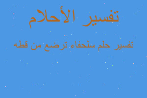 تفسير سلحفاء ترضع من قطه في المنام