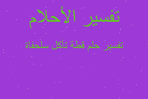 تفسير قطة تأكل سلحفاة في المنام تفسير قطة تأكل سلحفاة في المنام