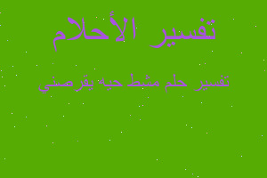 تفسير مشط حيه يقرصني في المنام تفسير مشط حيه يقرصني في المنام