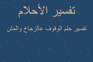تفسير الوقوف عالزجاخ والمش في المنام تفسير الوقوف عالزجاخ والمش في المنام