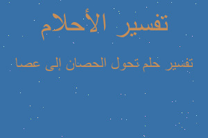 تفسير تحول الحصان إلى عصا في المنام