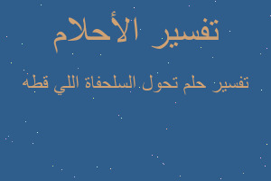 تفسير تحول السلحفاة اللي قطه في المنام