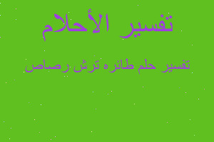 تفسير طائره ترش رصاص في المنام