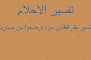 تفسير قطتين سود يرضعوا من صدرى في المنام تفسير قطتين سود يرضعوا من صدرى في المنام
