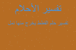 تفسير القطط يخرج منها نمل في المنام