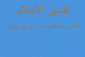 تفسير كلب اسود ذو ذيل طويل في المنام